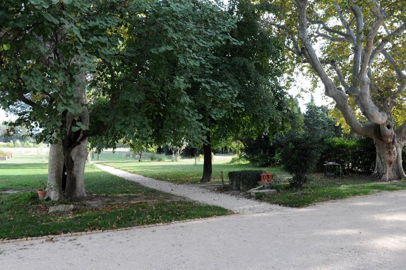 Domaine De Rochegude Villa Авиньон Екстериор снимка